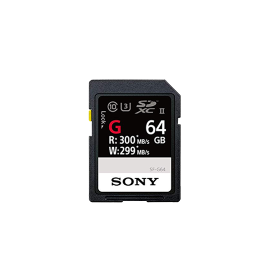 SONY SD 64GB (300M)